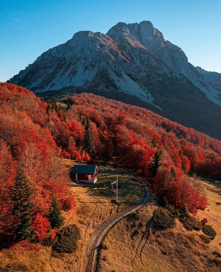 Mountain House Komovi-Radunovic Andrijevica Eksteriør billede